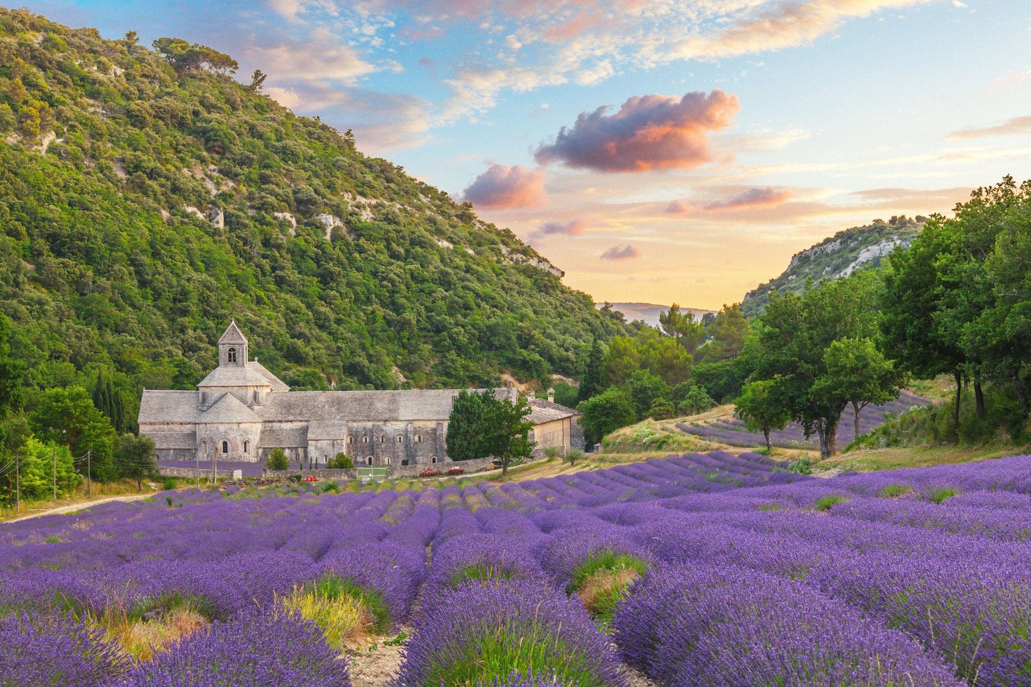 Francia