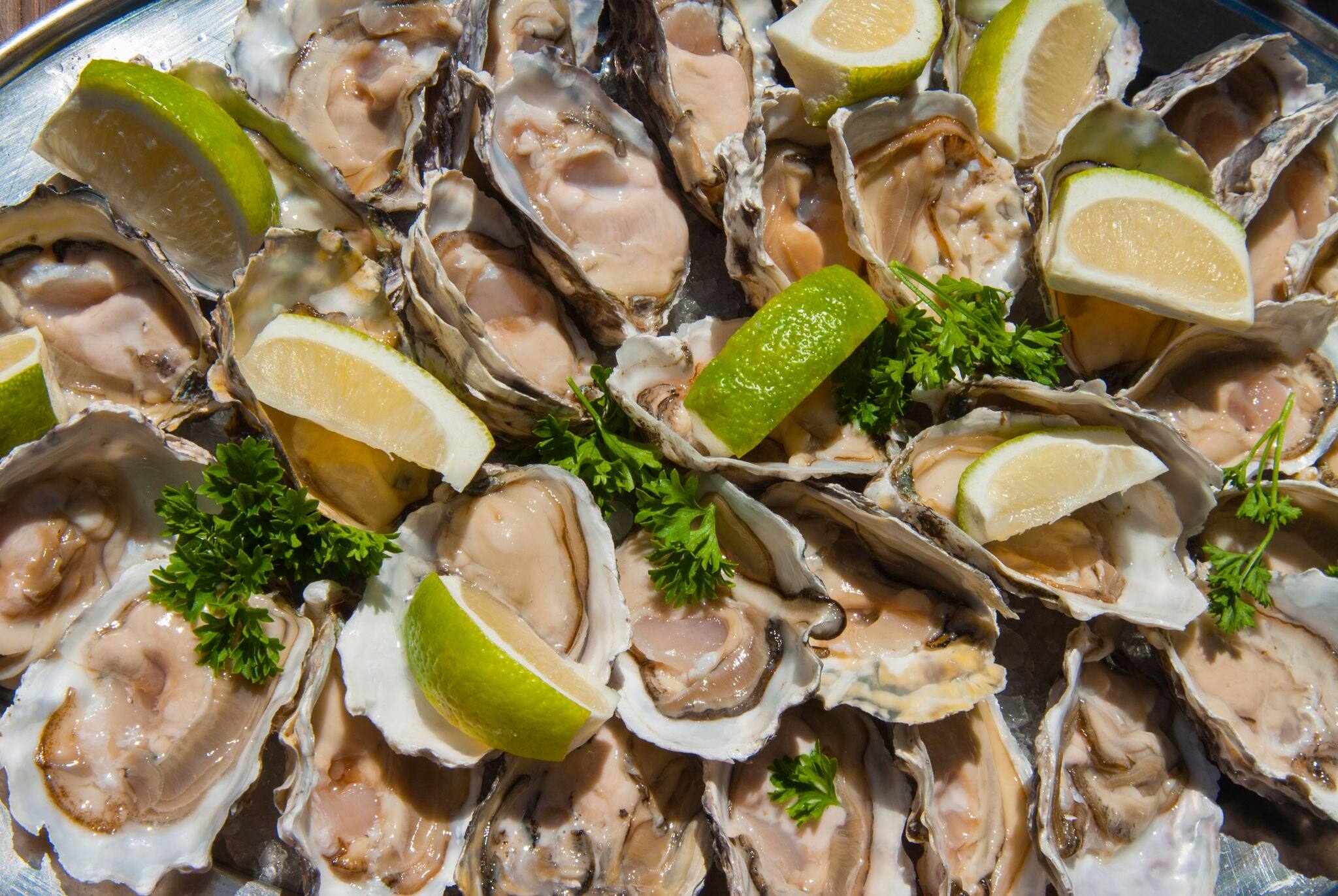 Oysters, Namibia. Food