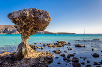 La Paz (Pichilingue), Mexico