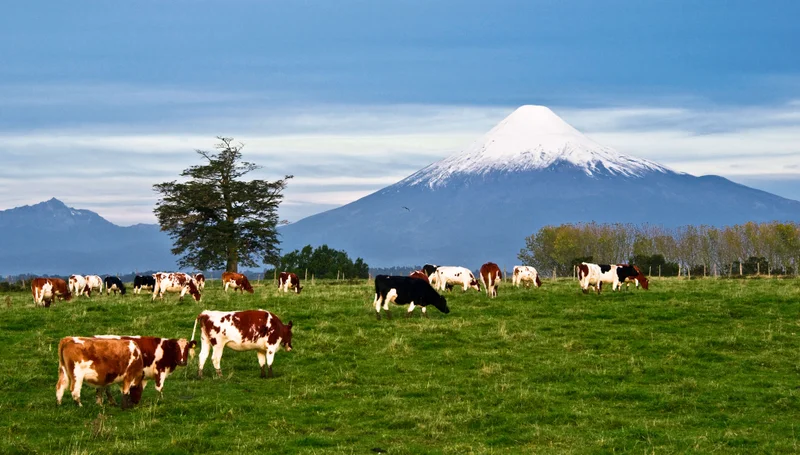 Puerto Montt, Chile