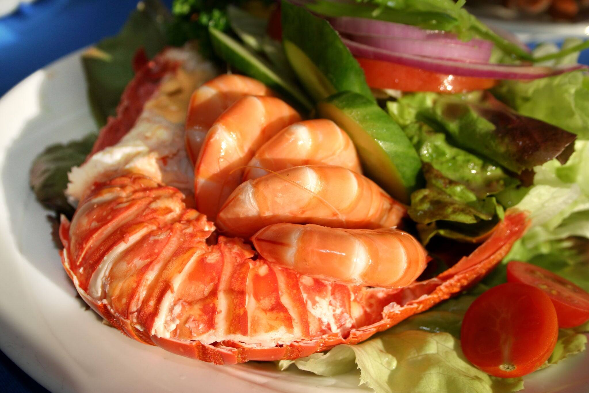 Fresh and delicious seafood meal at Watson Bay, NSW, Australia
