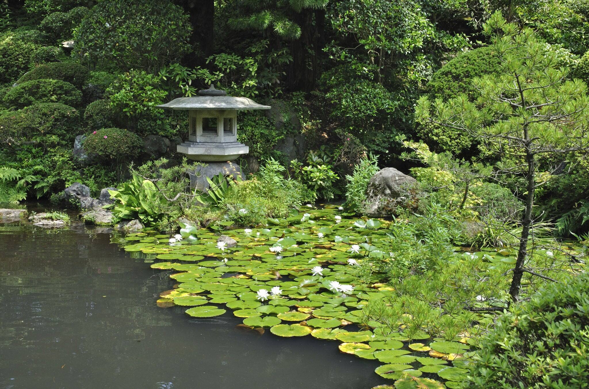 The Panorama Of Sakata City In Summer