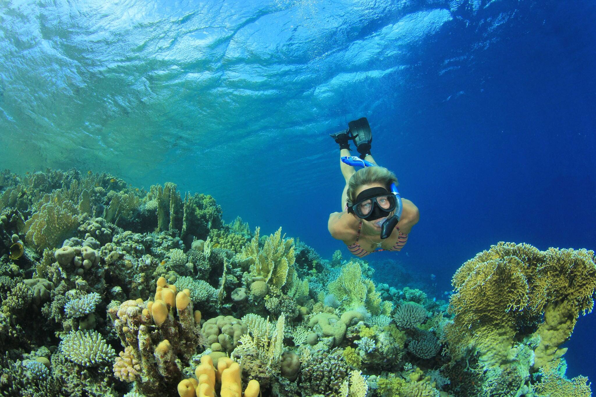 Beautiful Woman snorkeler explores coral reef