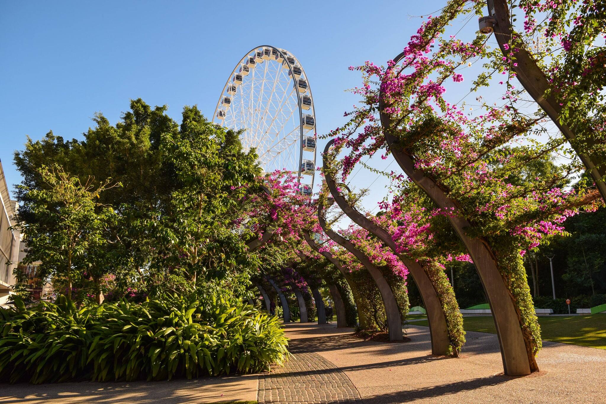 View of Ferris Wheel at South Bank, Brisbane