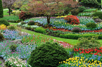 Victoria, British Columbia