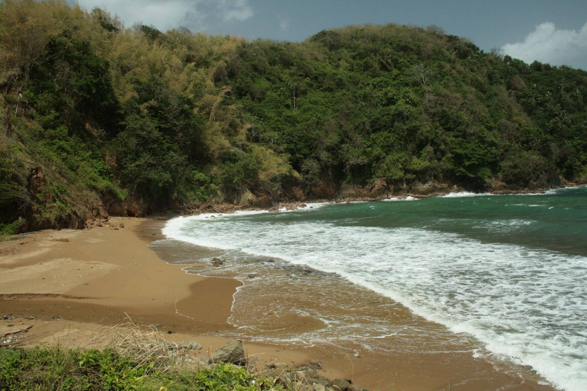 Immaculate beach in Scarborough, Ward of Tobago, Trinidad and Tobago