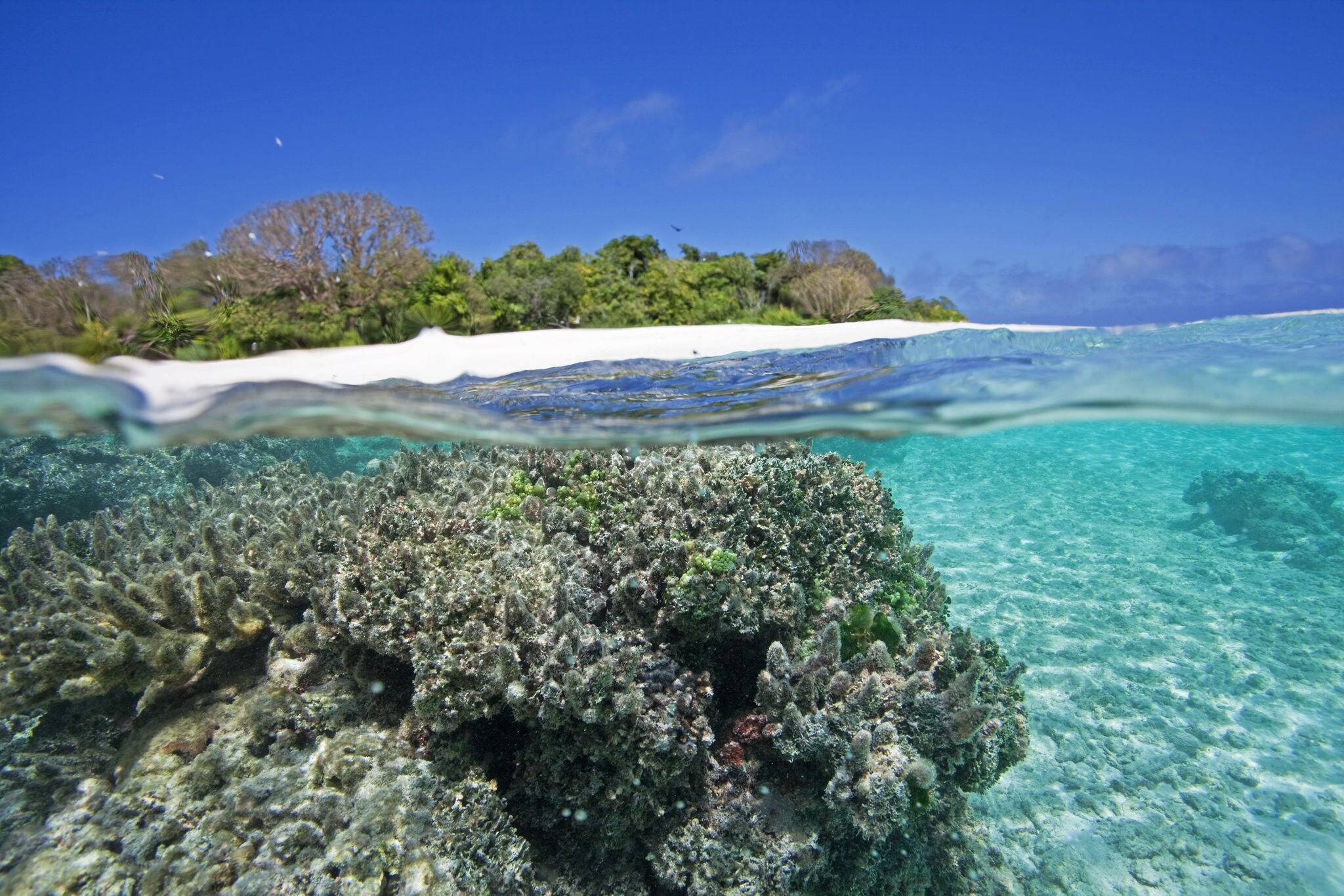 Vava'u Island, Tonga