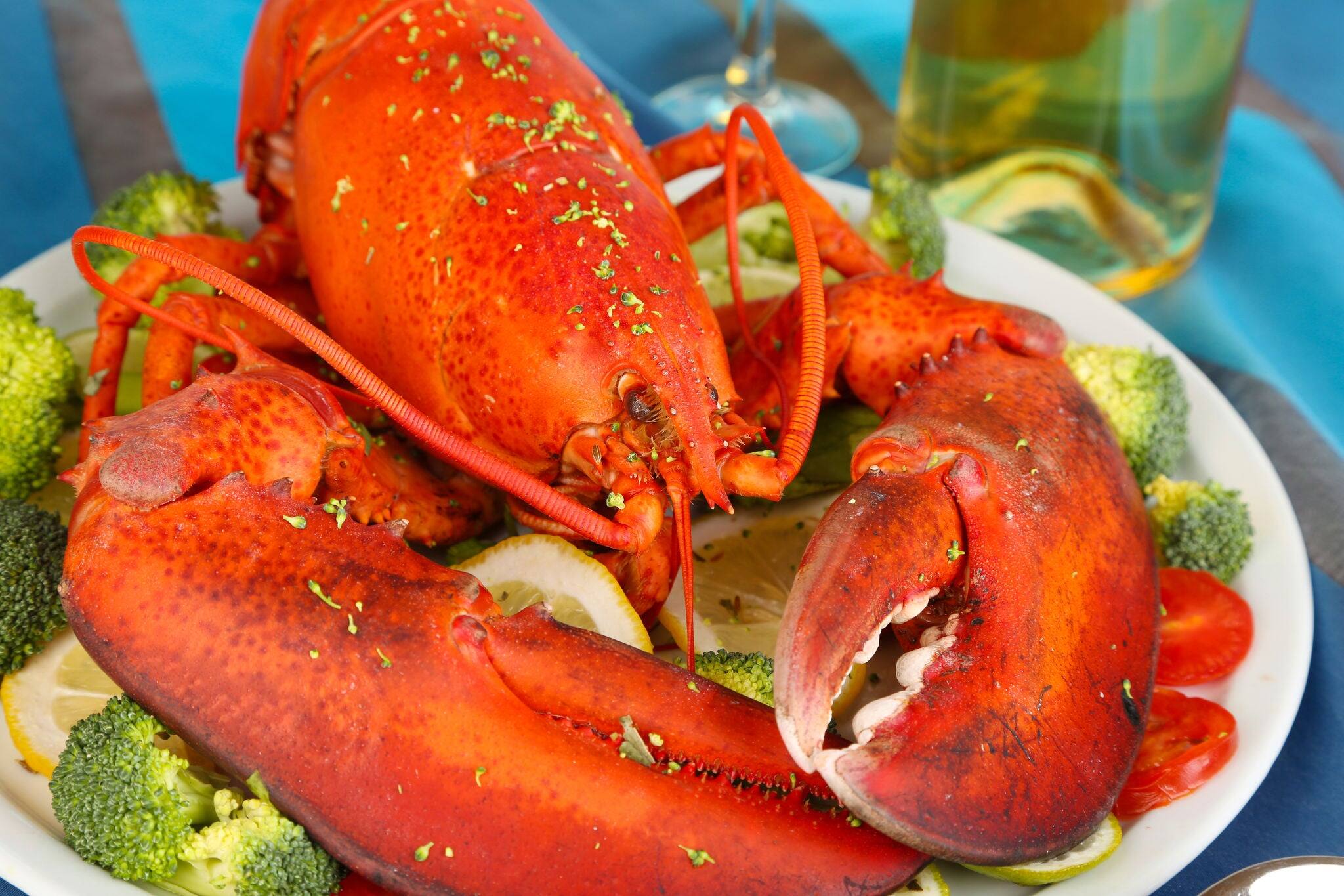 Red lobster on platter on serving table close-up