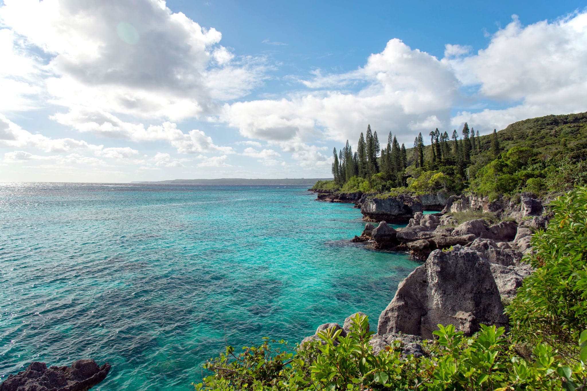 New Caledonia Loyalty Islands Male Island Coral Reef on Tadine Coast