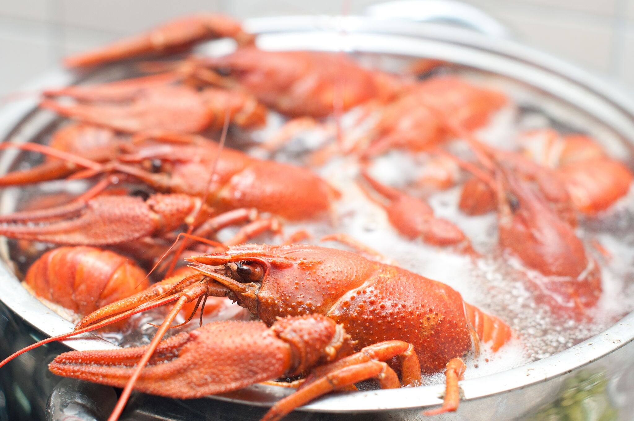 crawfish cooking in a large pot