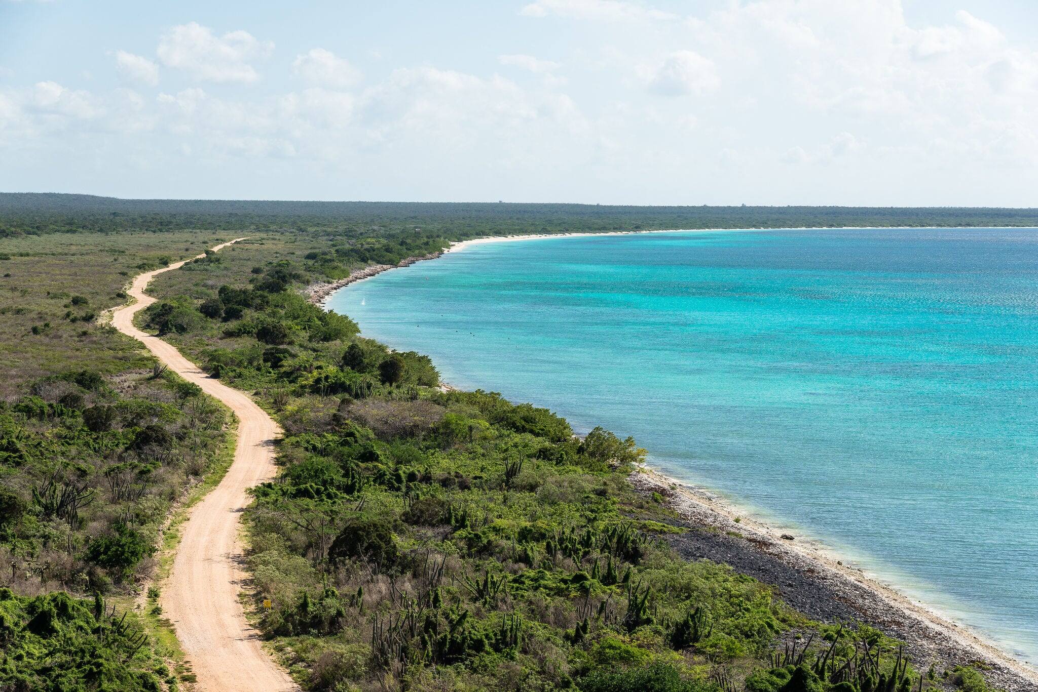 Beach of "Bahia de las Aguilas", protected National Park, Dominican Republic