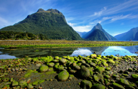 Bay of Islands, New Zealand