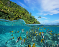 Amber Cove, Dominican Republic