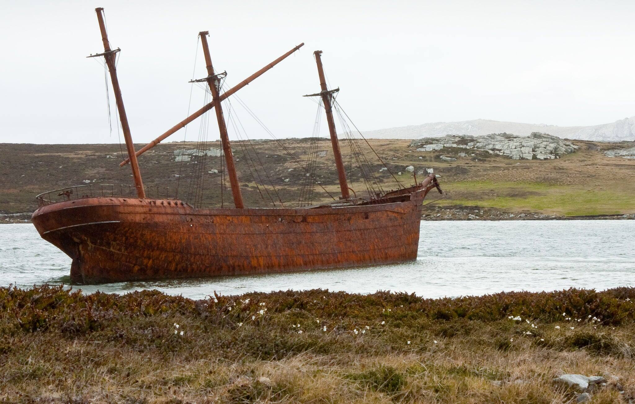 Wreck of the Lady Elizabeth, Falkland Islands