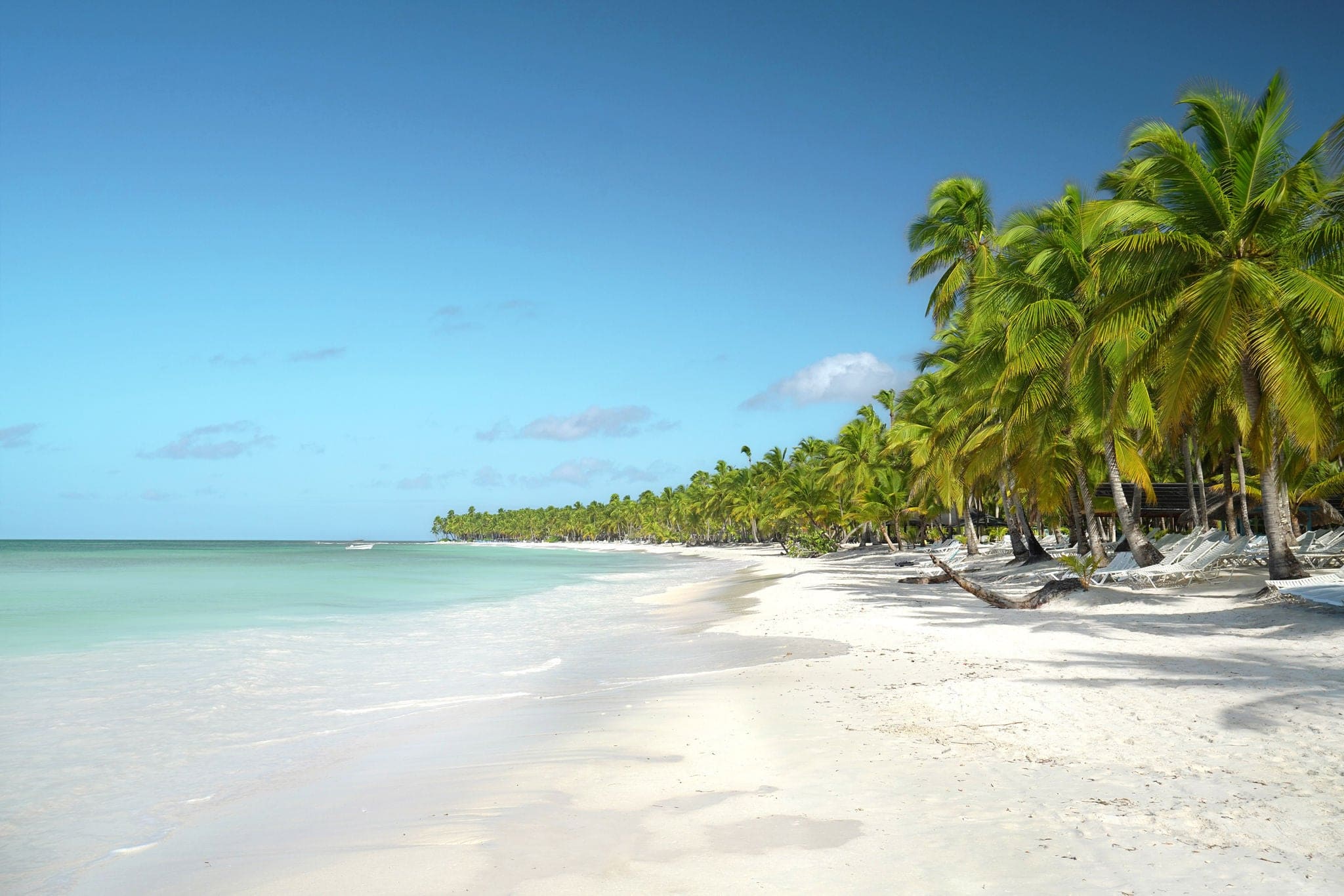 palm beach in Caribbean Sea with turquoise sea