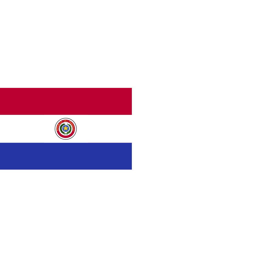 Paraguay Flag