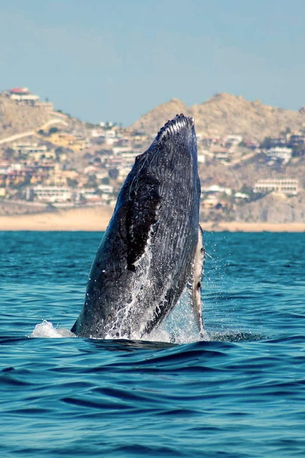 Pesca y vías acuáticas