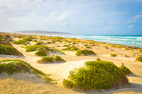 Boa Vista, Cape Verde