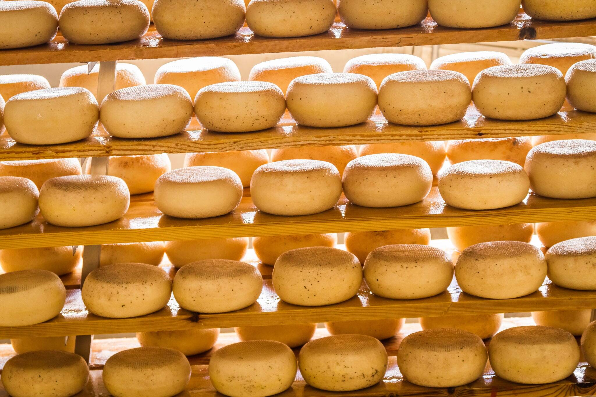 Aged sheep cheese on the shelves