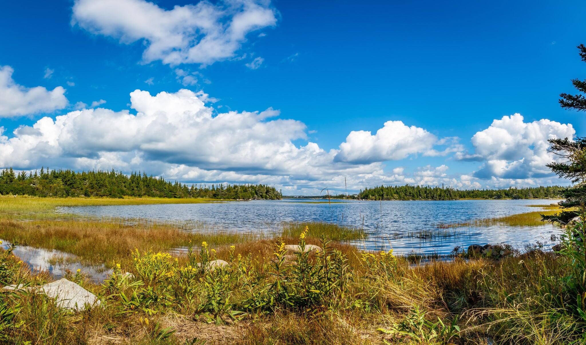 Beautiful scenery of Atlantic Canada Nova Scotia Shelburne County coastline and shorelines with a golden sky is a beauty to behold.