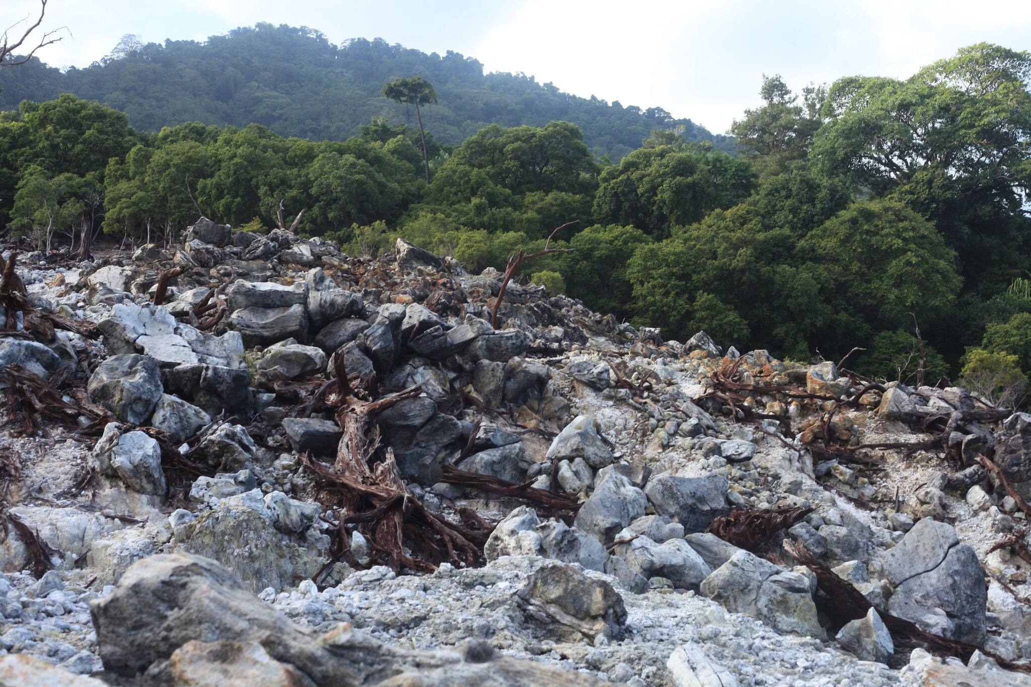 Volcano landscape of sulfur springs with white and grey rocks and yellow brimstone surrounded by trees on Pulau Weh, Indonesia