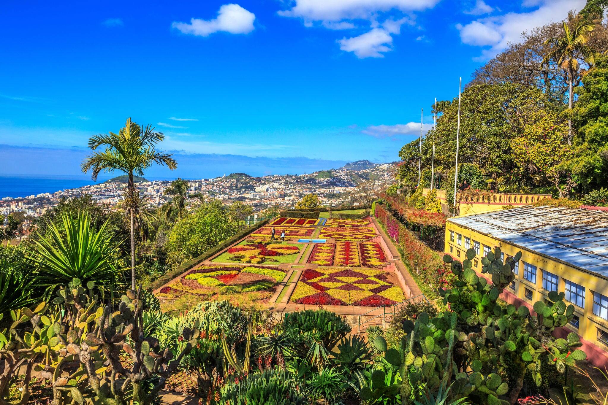 Beautiful landscape of the famous botanical conservatory garden in Funchal, Madeira island, in summertime