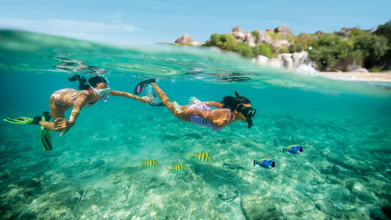 Tortola Snorkeling  Snorkeling