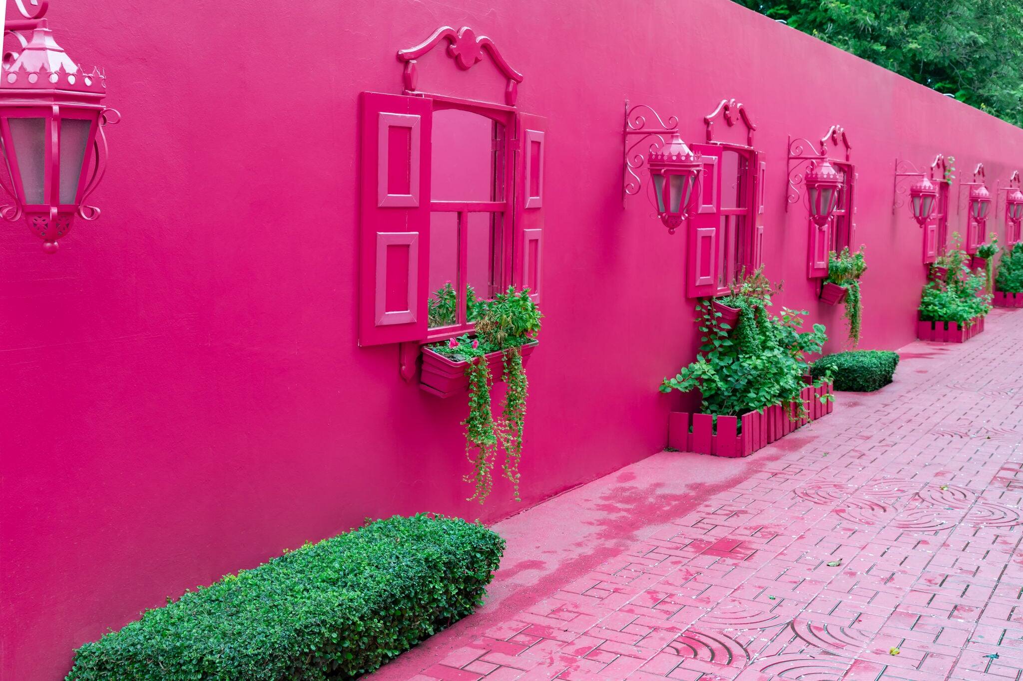 Pink street with green plants, windows, street lams, decorative caribbean entourage in old city victorian style, Puerto plata, Dominican Republic.
