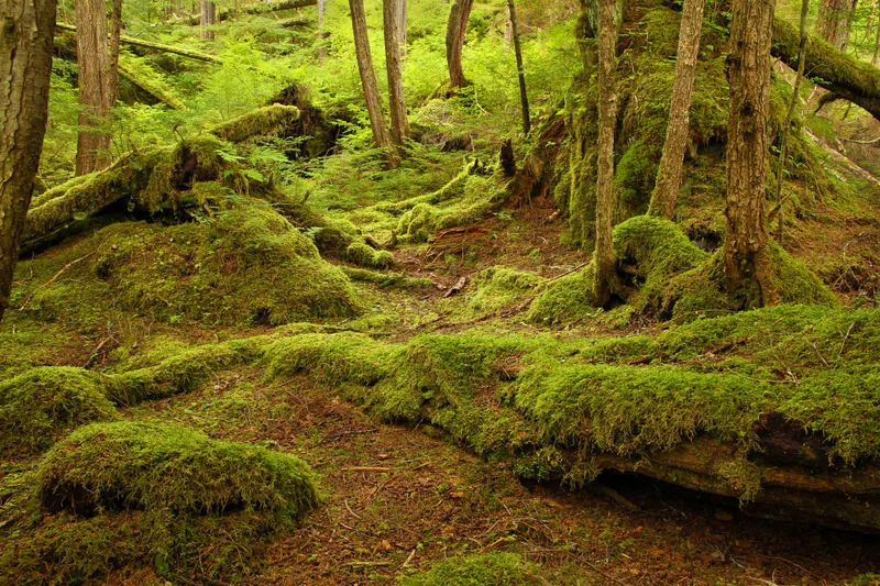 Sitka, Alaska