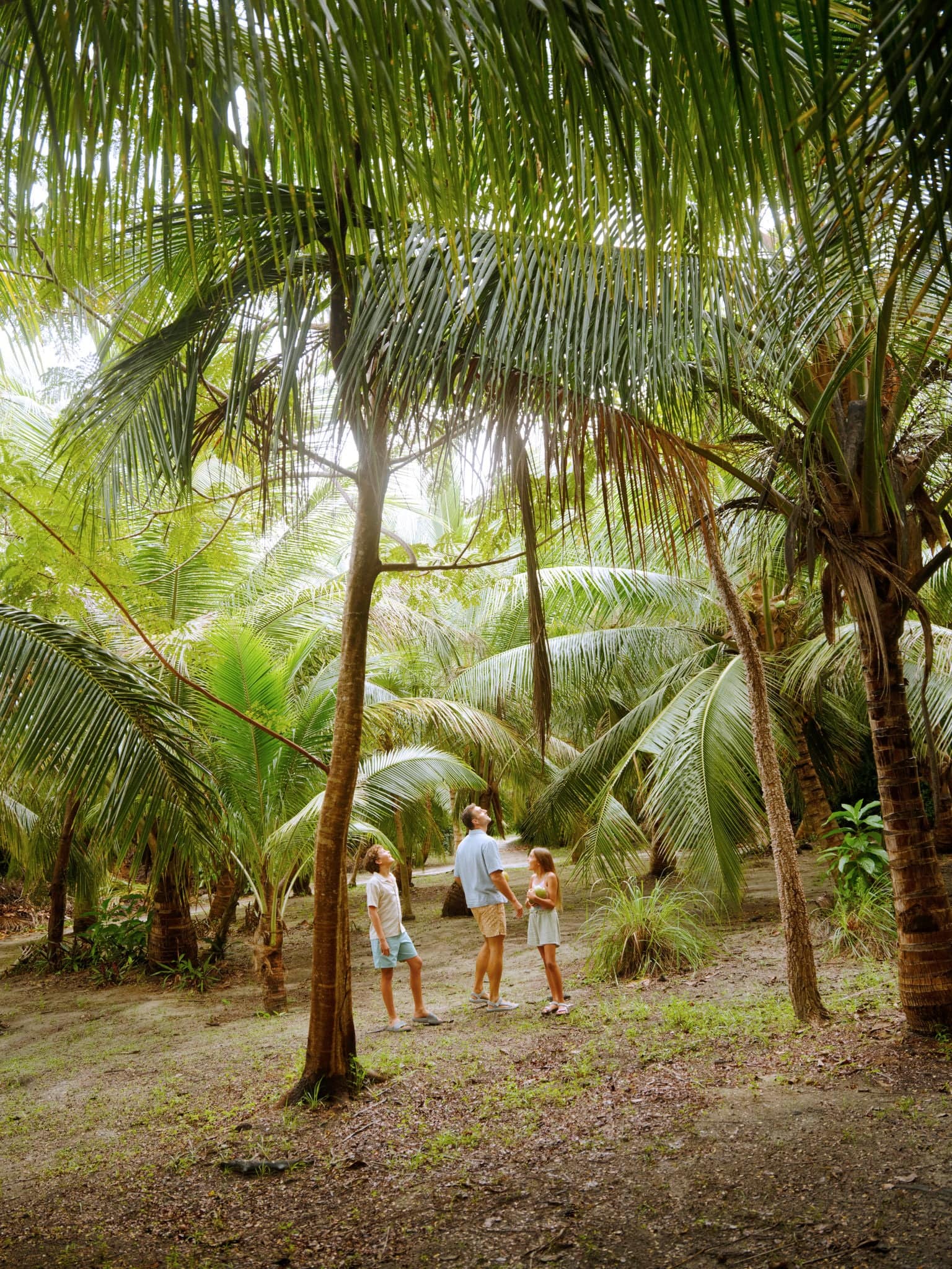 Walking through tropical plants in Magens Bay.