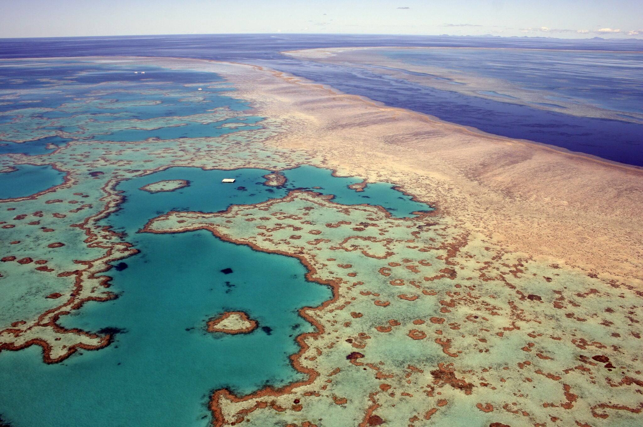 Aerial view of Heart Reef in the Great Barrier Reef, far north Queensland, Australia