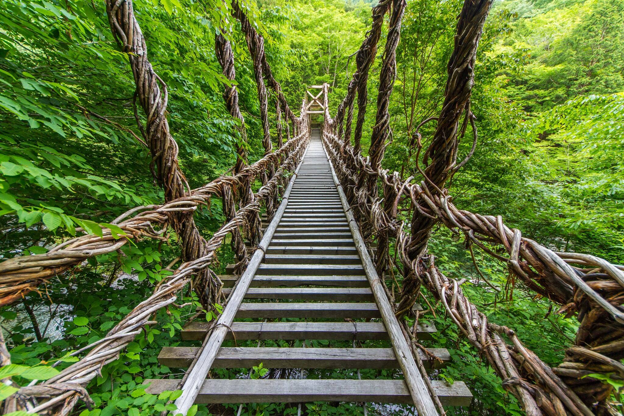 Oku iya double kazura bridge in Tokushima Japan