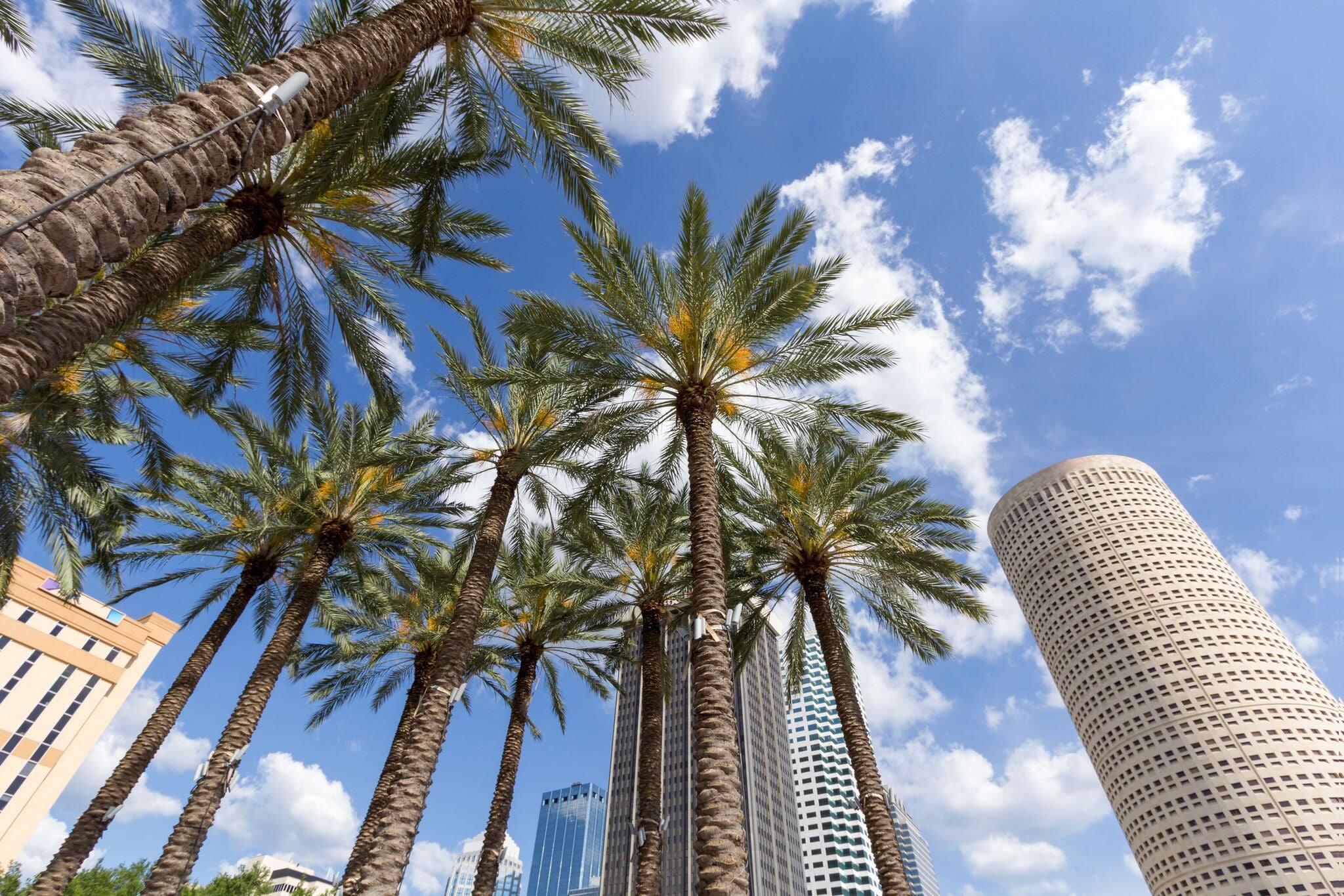 Downtown Tampa, Florida daytime