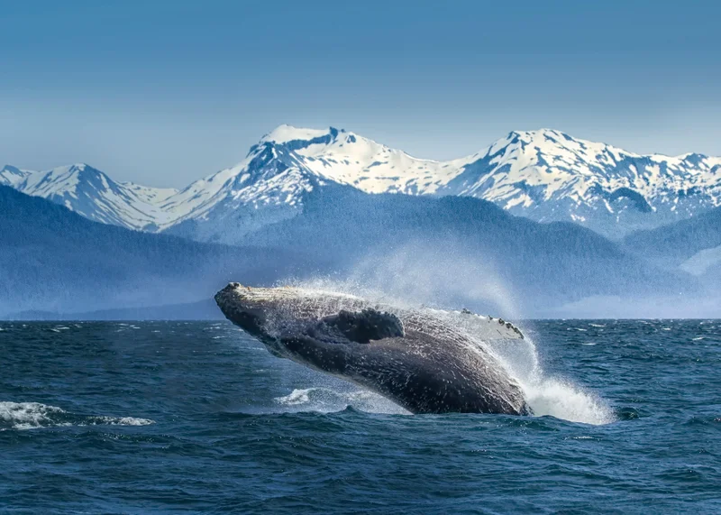 Alaska