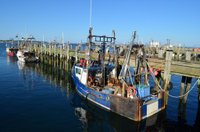 Martha's Vineyard