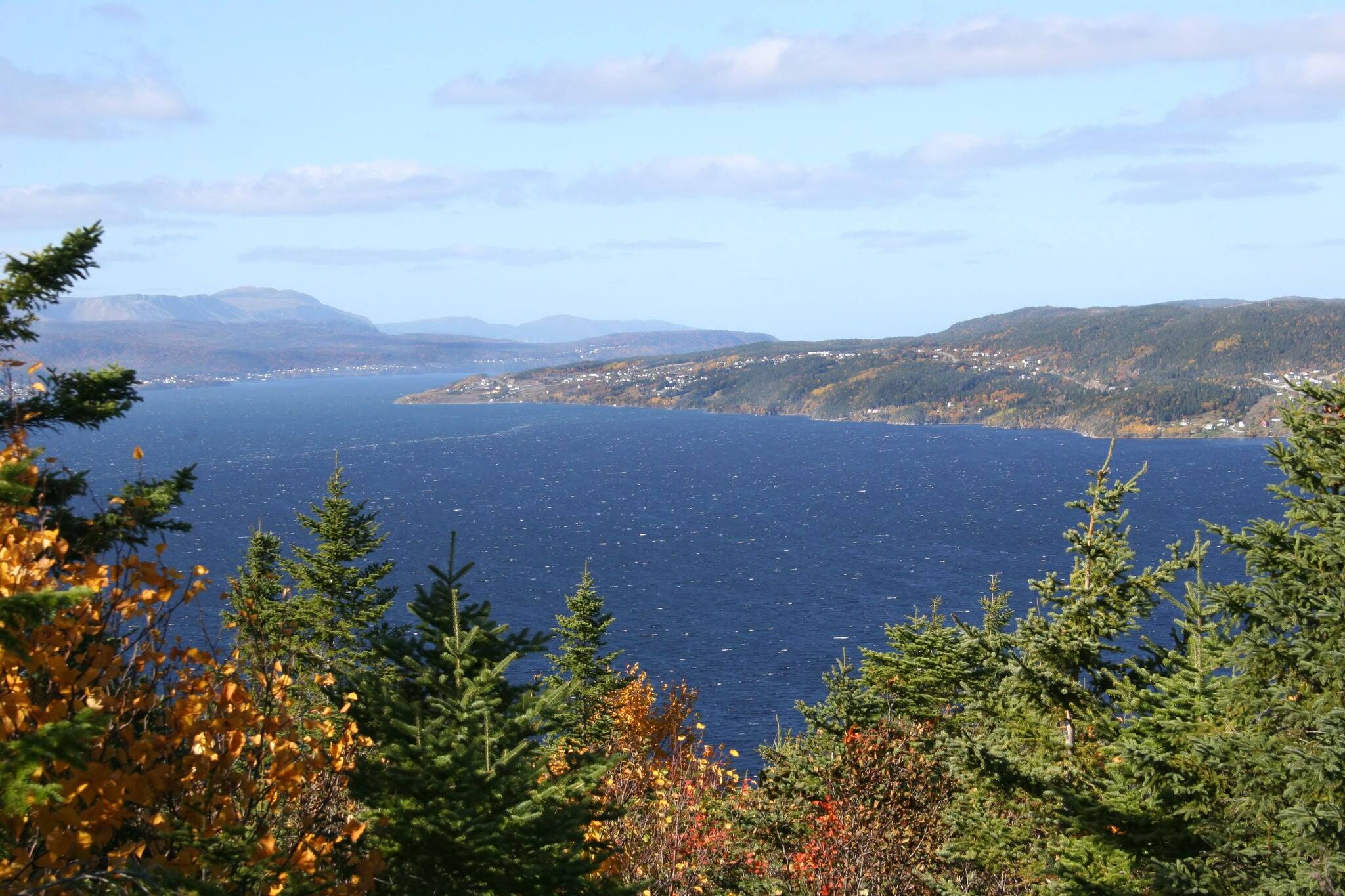Near the mouth of the Humber River at Corner Brook, Newfoundland.