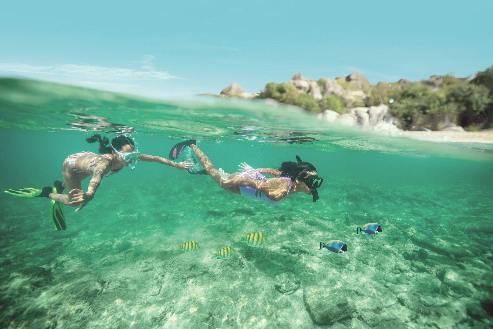 Caribe 