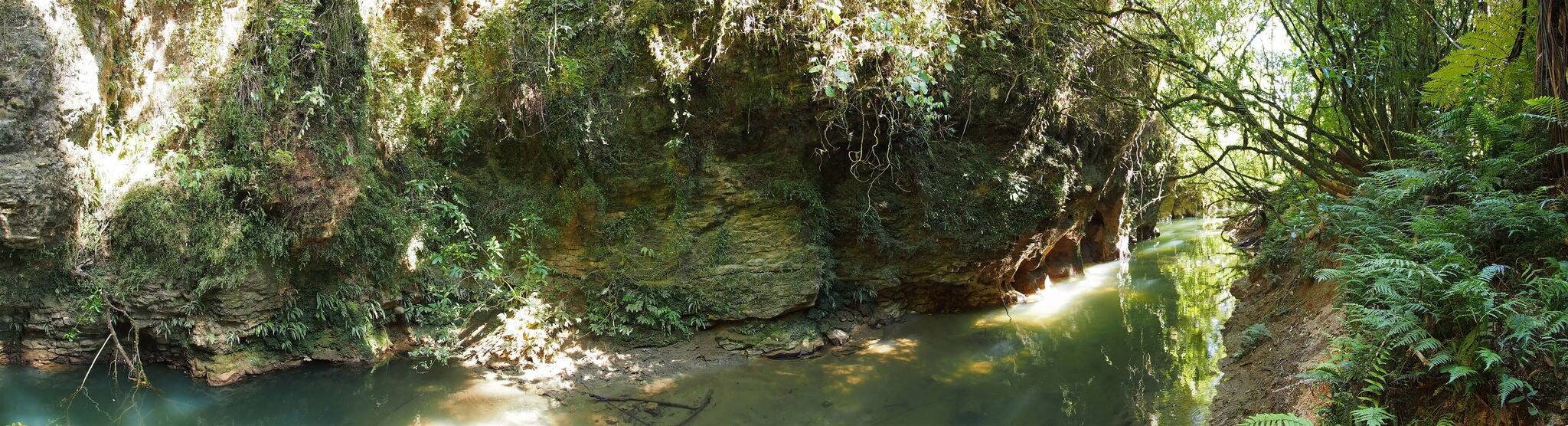 The Stream Outside the Waitomo Glowworm Caves