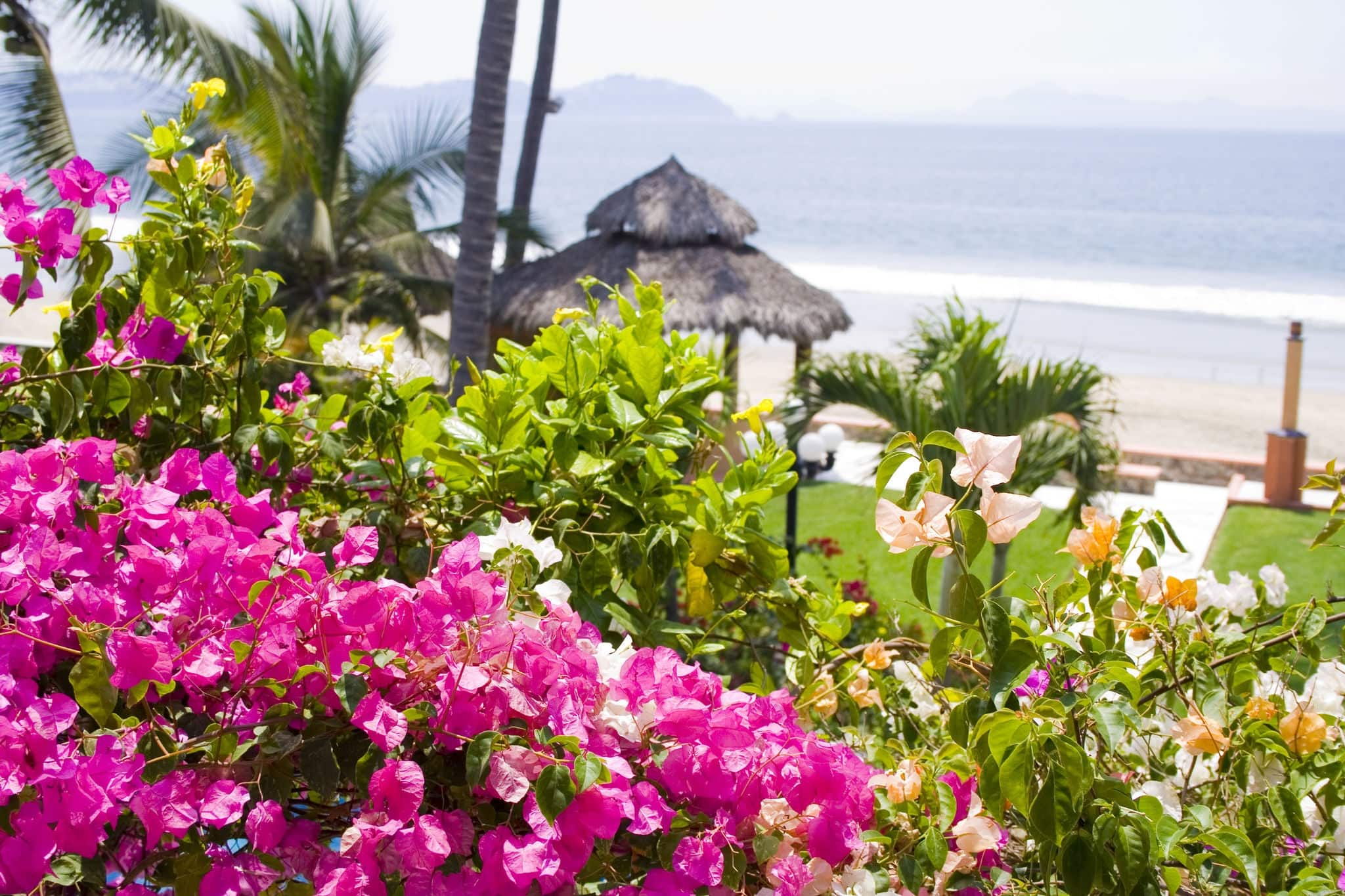 Beautiful Cabana surrounded by flowers and ocean
