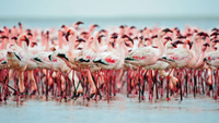 Walvis Bay, Namibia