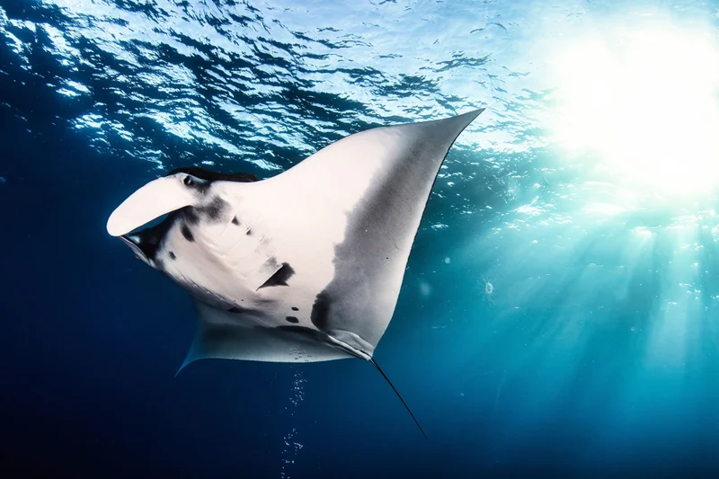 Manta, Ecuador