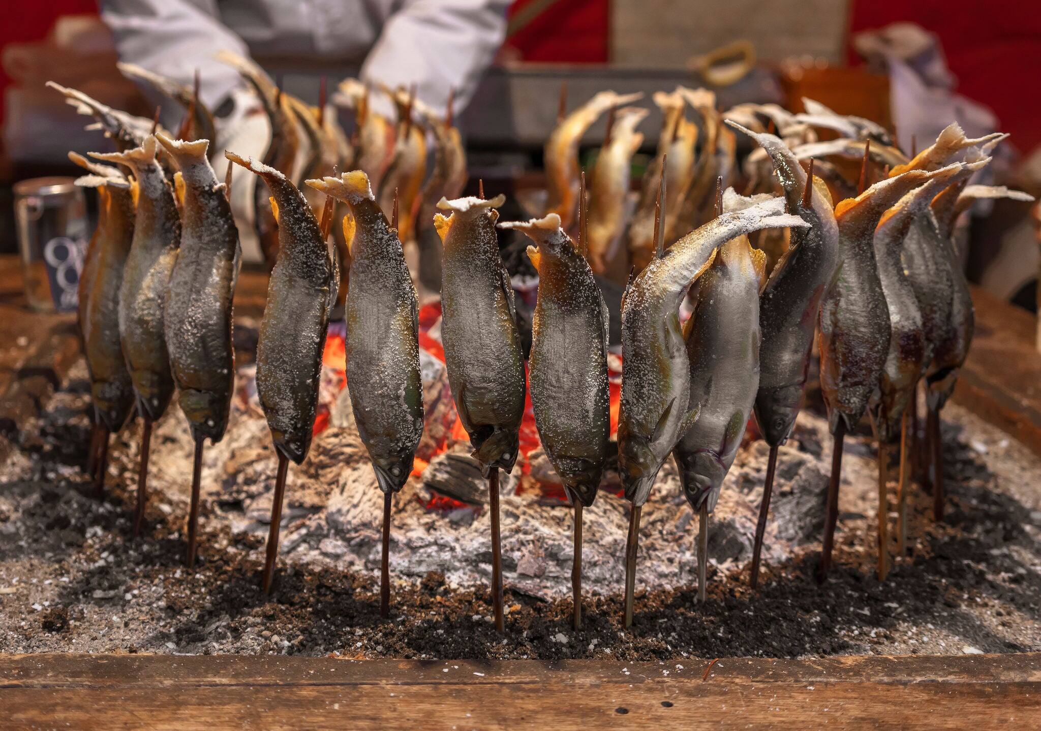 Japanese ayu fish skewers also called sweetfish grilled with salt and cooked in circle in a traditional robatayaki cooking around hot charcoals on a irori sunken hearth.
