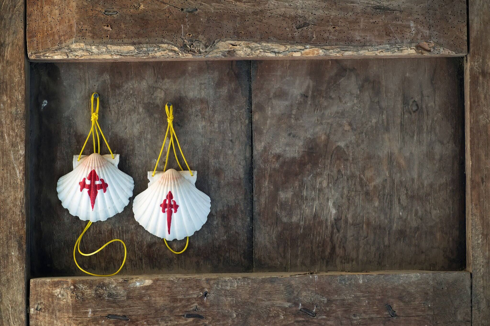 Camino de Santiago to Compostela , pilgrim shells on wood background
