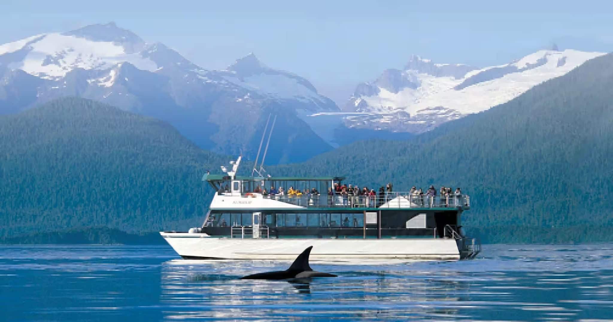 Whale watching in Alaska.