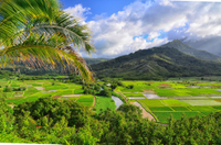 Nāwiliwili, Kaua`i