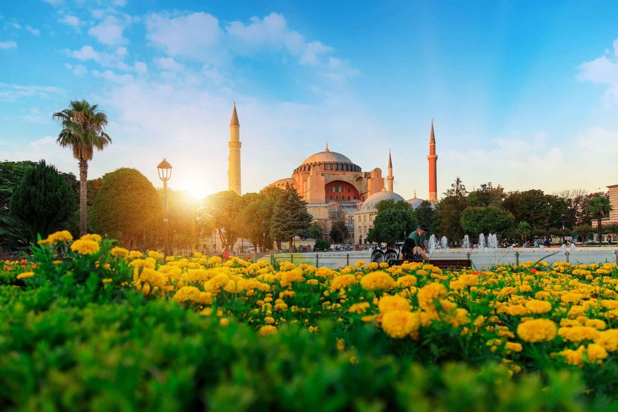 Famous Hagia Sophia Mosque (Ayasofya) at summer sky with cloudy dahlia flowers in Sultanahmet Park, Istanbul, Turkey