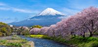 Mount Fuji (Shimizu), Japan