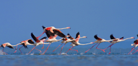 Pomene, Mozambique