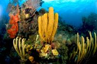 Belize City, Belize