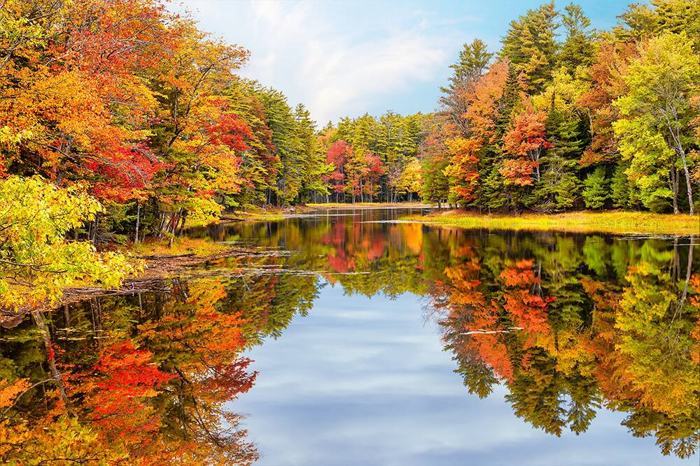 Fall Foliage Cruises Best Cruises For Leaf Peeping Blog de viajes de NCL